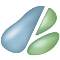 Pear Technology — Digital Mapping Services Logo