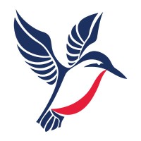 Blue Chip Technology Logo