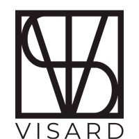 Visard Org Logo