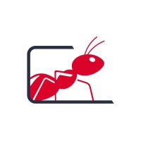 Network International Cargo Limited Logo