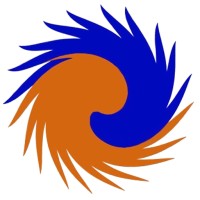 THE IGNITED MINDS Logo