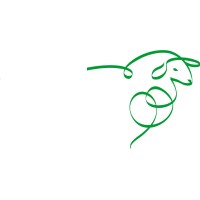 International Wool Textile Organisation Logo