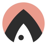The Salmon Consulting Logo