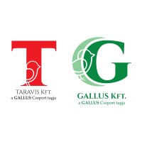 Gallus Csoport Logo