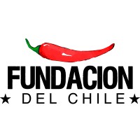 Fundación del Chile Logo