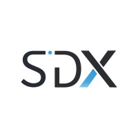 SDX TECNOLOGIA Logo