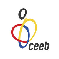 Consell de lEsport Escolar de Barcelona Logo