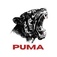 Puma Medical Supply Logo