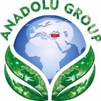 Anadolu Group Logo