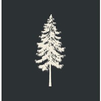 Lone Leaf Apparel Logo