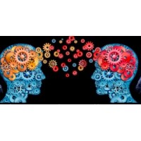 Brain-Based Workplace, LLC Logo