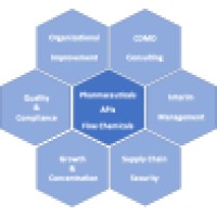 Techops Consulting Logo
