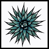 Don Rico Tequila Logo