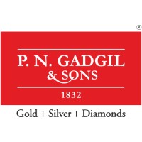 PNG Sons (P N Gadgil And Sons Ltd) Logo