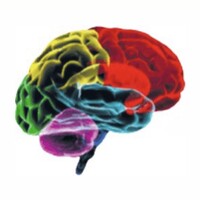 Polaris EEG & Diagnostics, LLC Logo