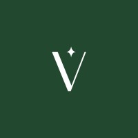 VNV Logo