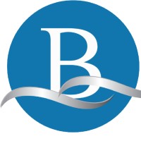 Blue View Property Logo