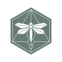 Dragonfly Transformative Health Journeys Logo