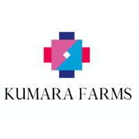 Kumara Farms Logo