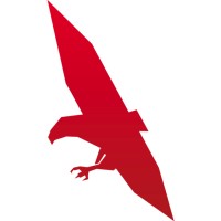 Hawk Web Marketing Logo