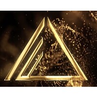 Executives-Sr Leaders Coach Logo