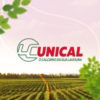 Unical Logo