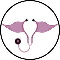 theDoctress Logo