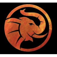 VISAPASSPO.com Logo