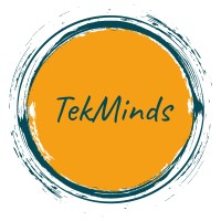 TekMinds International Logo