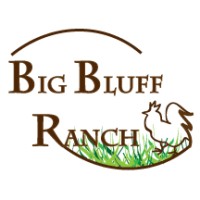Big Bluff Ranch Logo