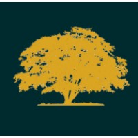 Texas Oak Capital Logo