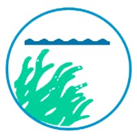 BLUE CARBON OCEAN Logo