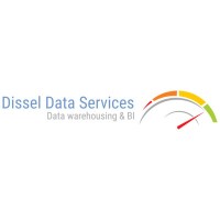 Dissel Data Services Logo