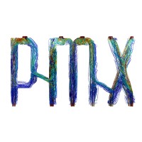 PMX Logo