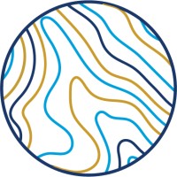 OnMessage Public Strategies Logo