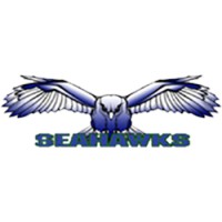 South Lakes High School Logo