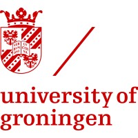 Accounting Research Programme - University of Groningen Logo