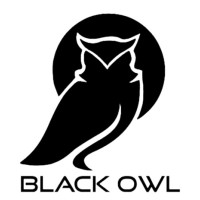 BLACK OWL CORP, LLC Logo