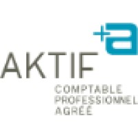 Aktif comptable professionnel agréé Logo