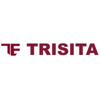 Trisita Engineering LLP Logo