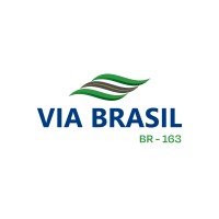 Via Brasil BR-163 Logo