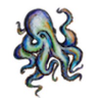 OktoAnalytics Logo