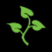 North Ivy Logo