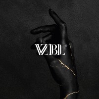 VZBL Logo