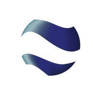 Peterson Projects & Solutions (Americas) Logo