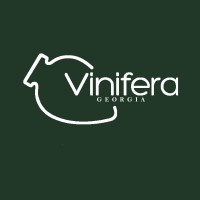 Vinifera Georgia Logo