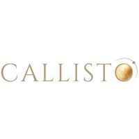 Callisto Talent Solutions Logo