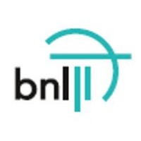 Byggenæringens Landsforening Logo