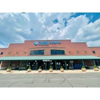 CURE Insurance Arena Logo