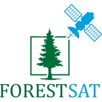 ForestSAT AS Logo